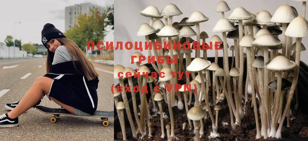 бутират Пересвет