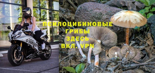 бутират Пересвет