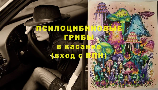 бутират Пересвет