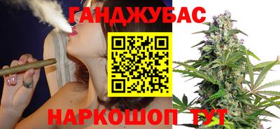 Альфа ПВП Гатчина