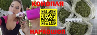 Альфа ПВП Гатчина