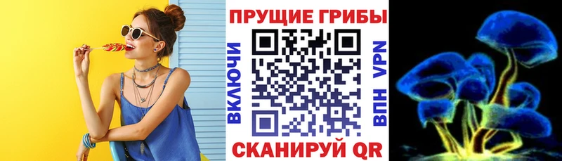 Галлюциногенные грибы Psilocybine cubensis  Соликамск 