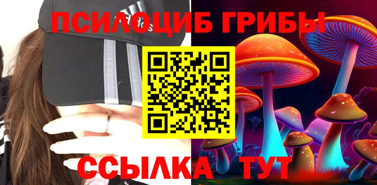 Псилоцибиновые грибы Psilocybe  Вход с VPN  Соликамск 