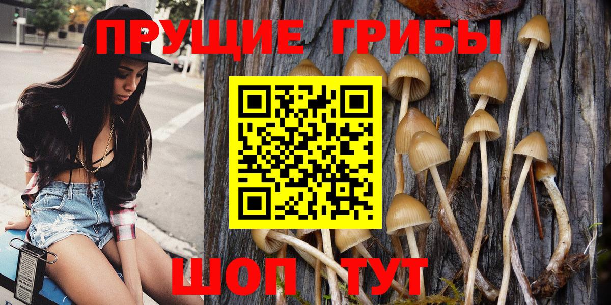 Псилоцибиновые грибы GOLDEN TEACHER Соликамск