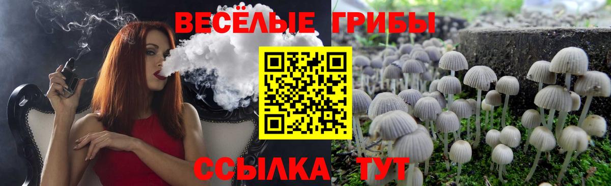 Галлюциногенные грибы прущие грибы  Галлюциногенные грибы мицелий  цены   Соликамск 